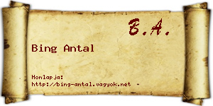 Bing Antal névjegykártya